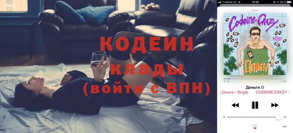 хмурый Арсеньев