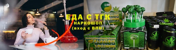 хмурый Арсеньев