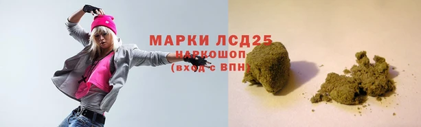 хмурый Арсеньев