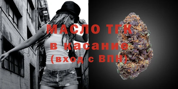 хмурый Арсеньев