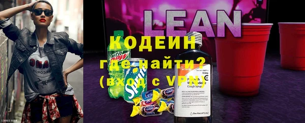хмурый Арсеньев