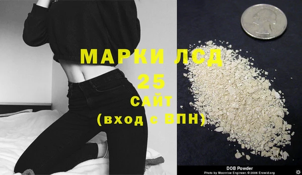 хмурый Арсеньев