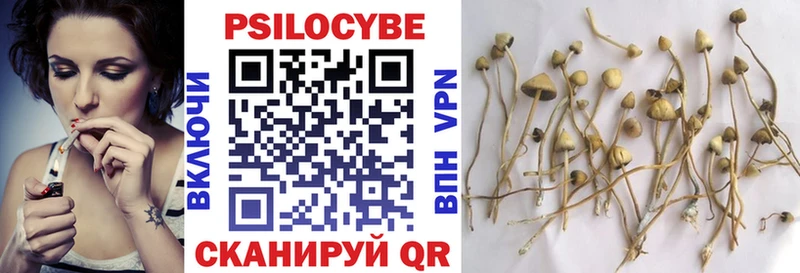Псилоцибиновые грибы Psilocybine cubensis  Солнечногорск 